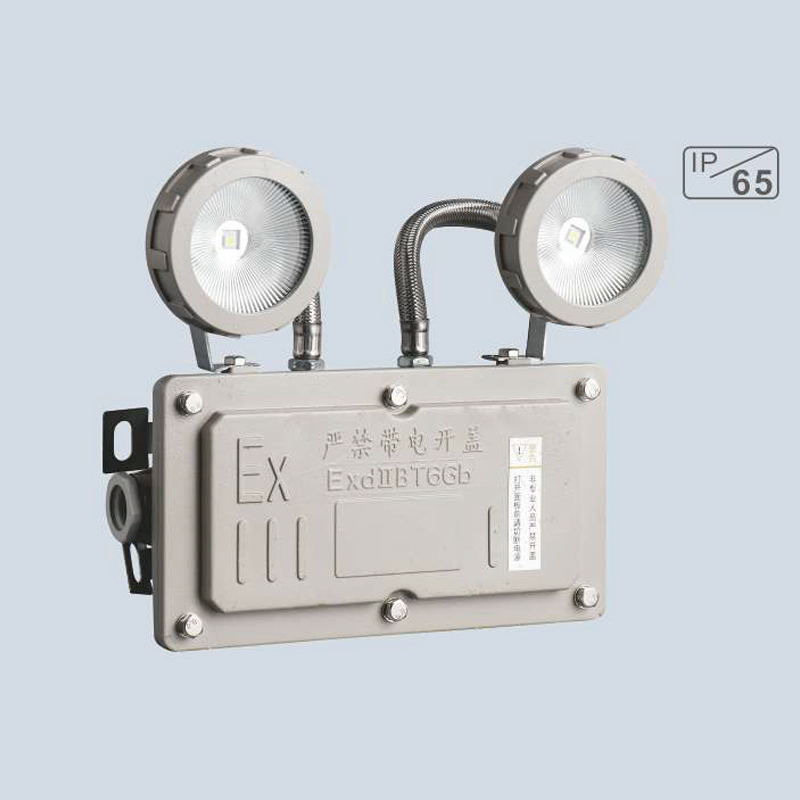 Emergency explosion-proof double headamp· BM044